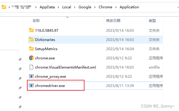 Selenium install WebDriver latest Chrome driver (with 116/117/118/119)