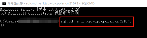 [No Public IP Intranet Penetration] Offsite Remote Access to Local SQL Server Database